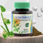 Экстракт Циссуса четырехугольного от Геморроя (KLO)