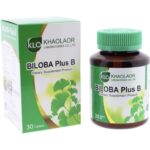 Гинкго Билоба Экстракт + для улучшения памяти, мозгового кровообращения и здоровья сосудистой системы