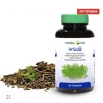 Бакопа Монье для памяти и мозга Bacopa Monnieri Extract Herbal One