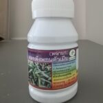 Экстракт Клинакантуса против вирусов Clicanthus Nutans
