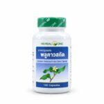 Плюкао - природный щит от Инфекций (Хаутюния Cердцевидная) Houttuynia Cordata Extract  (Herbal One)