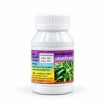 Экстракт Клинакантуса против вирусов Clicanthus Nutans — изображение 2