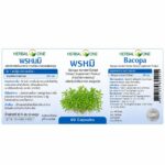 Экстракт Бакопа Монье для памяти и мозга Bacopa Monnieri Extract Herbal One — изображение 2