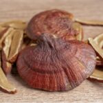 Трутовик Лакированный (Линчжи) "Гриб Бессмертия" цельный сушеный