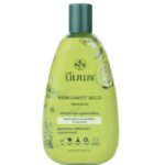 Шампунь с Бергамотом для жирной кожи головы Nimporn Bergamot Herbal Mild Shampoo