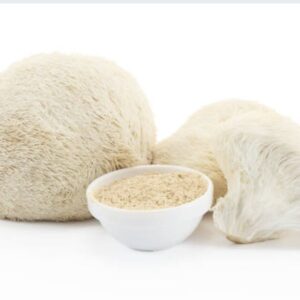 Ежовик гребенчатый (Порошок) иммунитет + память Lion’s Mane Powder