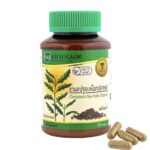 Капсулы От Кашля и Аллергии Си Холли Sea Holly Khaolaor.