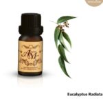 Эвкалипт Австралийский для свободного дыхания (Eucalyptus globulus) 100% чистое эфирное масло