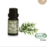 Чайное дерево антисептическое антибактериальное (Melaleuca alternifolia) 100% органическое эфирное масло