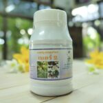 Лечение суставов и грыж от госпиталя Лампанг Lampang Herb.