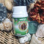 Бархатная фасоль (Мукуна).