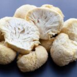 Ежовик гребенчатый (Порошок) иммунитет + память Lion’s Mane Powder