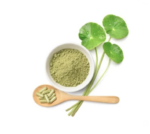 Центелла Азиатская (Готу Кола) для поддержки остроты ума и здоровья сосудов (Порошок) Centella asiatica powder — изображение 3