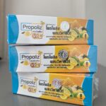 Жевательный прополис с витамином С Propoliz Chewy Vit C