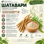 Шатавари Здоровье Женщины (Органический Порошок) Shatavari — изображение 2