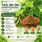 Криптолепсис Бьюкеннен для Суставов Мышц и Сухожилий ​​Cryptolepis buchanani (Thao-en On) — изображение 2