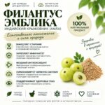 Филантус Эмблика Омоложение+Иммунитет Indian Gooseberry Phyllanthus emblica — изображение 2