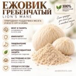 Ежовик Гребенчатый Природный ноотроп. Нервы, сосуды, мозг Lion’s Mane Hericium erinaceus Powder — изображение 2