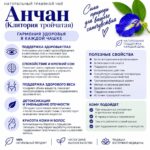 Синий Чай Анчан ( Мотыльковый горошек / клитория тройчатая) для восстановления остроты зрения — изображение 2
