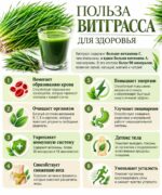 Витграсс (Пшеничная Трава) для детокса и иммунитета Wheat grass Triticum aestivum — изображение 2