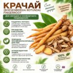 Крачай Безенбергия сушеная при проблемах с Желудком и Детокс организма Finger Root . — изображение 2