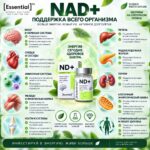Essential NAD+ замедляет старение на клеточном уровне плюс поддержка работы мозга — изображение 2
