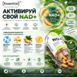 Essential NAD+ замедляет старение на клеточном уровне плюс поддержка работы мозга — изображение 3