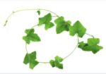 Кундру для естественного контроля сахара и здорового метаболизма Ivy Gourd Vine Powder — изображение 2