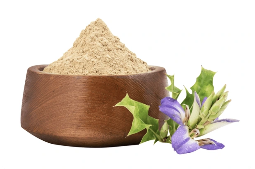 Снимок экрана 2026-01-04 184352 Си Холли при хронических простудах, бронхиальной астме и аллергических реакциях Sea Holly Powder — изображение 1