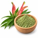 Клинакантус поникающий Противовирусное Иммуномоделирующее Clinacanthus nutans Powder