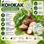 Конжак (Глюкоманнан) 100% натуральный порошок конжака, для контроля веса, без сахара, без глютена Glukomannan — изображение 2