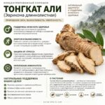 Органический/био адаптоген, афрозодиак Тонкат Али (Эврикома длиннолистная) Tongkat Ali — изображение 2
