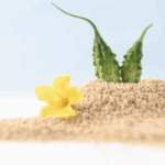 Горькая Дыня (Момордика Харанция) для контроля уровня сахара в крови Bitter Melon Powder