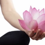 Лотос Орехоносный порошок (Nelumbo nucifera powder)