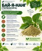 Тилиакора (Бай-Я-Нанг) для здоровья Сосудов и Сердца, от варикоза Tiliacora triandra Powder — изображение 2