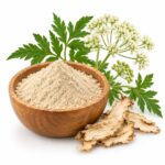 Дудник Китайский - решение женских проблем (Анжелика Даурика) Dong Quai Angelica sinensis Root Powder