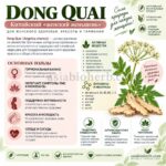 Дудник Китайский - решение женских проблем (Анжелика Даурика) Dong Quai Angelica sinensis Root Powder — изображение 2