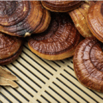 Линчжи (Рейши, Ганодерма, Трутовик Лакированный) Powder