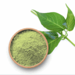 Гимнема снижает тягу к сладкому и поддерживает здоровый уровень сахара в крови Gymnema Inodorum Powder