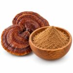 Линчжи (Рейши, Ганодерма, Трутовик Лакированный) Порошок Ganoderma lucidum Powder