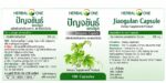 Капсулы Джиаогулан от старения (Экстракт Гимностемы) Jiaogulan Herbal One — изображение 2