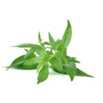 Андрографис метельчатый против Вирусов и Бактерий (Фа Талай Джон) Andrographis paniculata Powder — изображение 3
