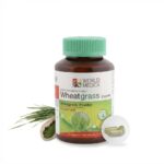 Экстракт Пшеничной травы Детокс + Иммунитет Wheatgrass (KLO)