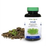 Бакопа Монье для памяти и мозга Bacopa Monnieri Extract Herbal One