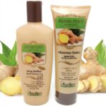 Шампунь с имбирем формула для роста и восстановления волос Pure Ginger Herbal — изображение 3