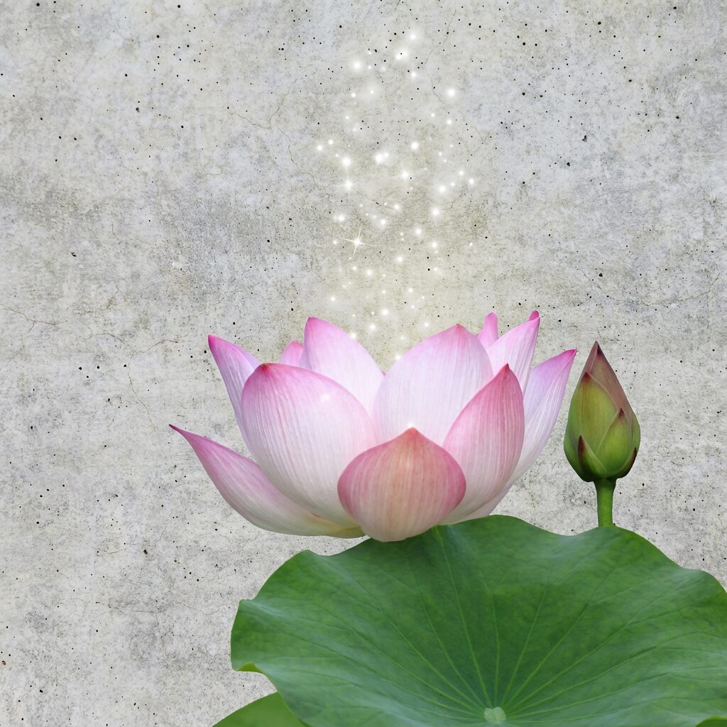 Лотос Орехоносный для расслабления нервной системы порошок (Nelumbo nucifera powder) (AI main) Лотос Орехоносный для расслабления нервной системы порошок (Nelumbo nucifera powder) — изображение 1