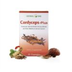 Экстракт Кордицепса для иммунитета Herbal One — изображение 2