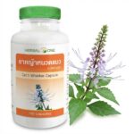 Биодобавка для здоровых почек Herbal One Cat's Whisker