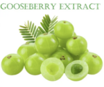Натуральный экстракт Амлы для Борьбы с Пигментацией и Фотостарением Gooseberry Extract — изображение 3