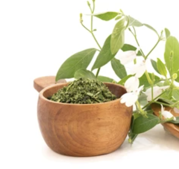 Снимок экрана 2026-01-11 201338 Ринакантус носатый от 100 болезней Powder Rhinacanthus nasutus — изображение 1